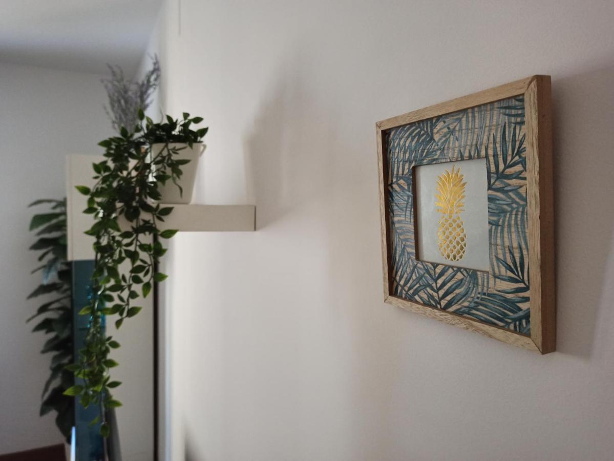 Family Cuenca Apartment เกว็งกา ภายนอก รูปภาพ